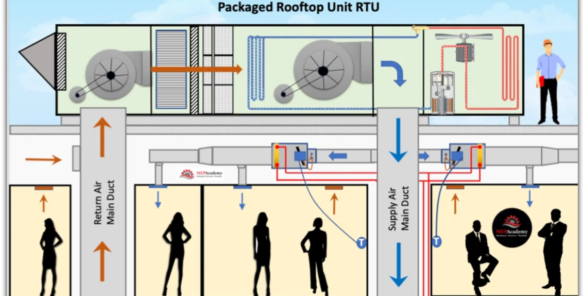 وحدة الحزمة على السطح وحدة الحزمة على السطح